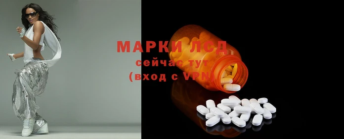 мяу мяу мука Покачи