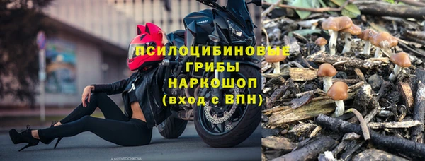 spice Приозерск