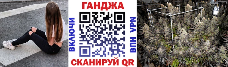 Канабис сатива  Купить закладки  Курган 